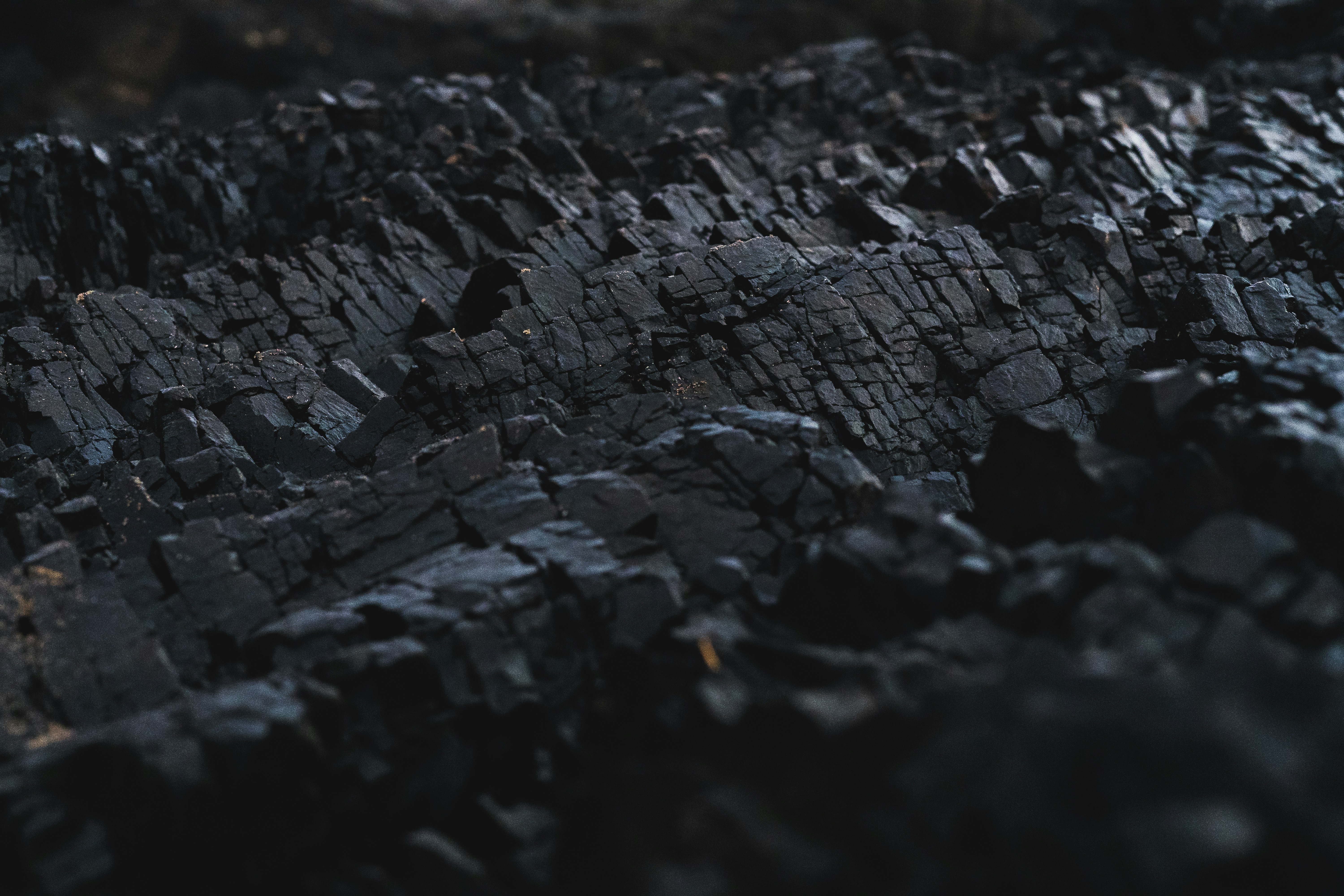 Coal supply — Chox Investments
